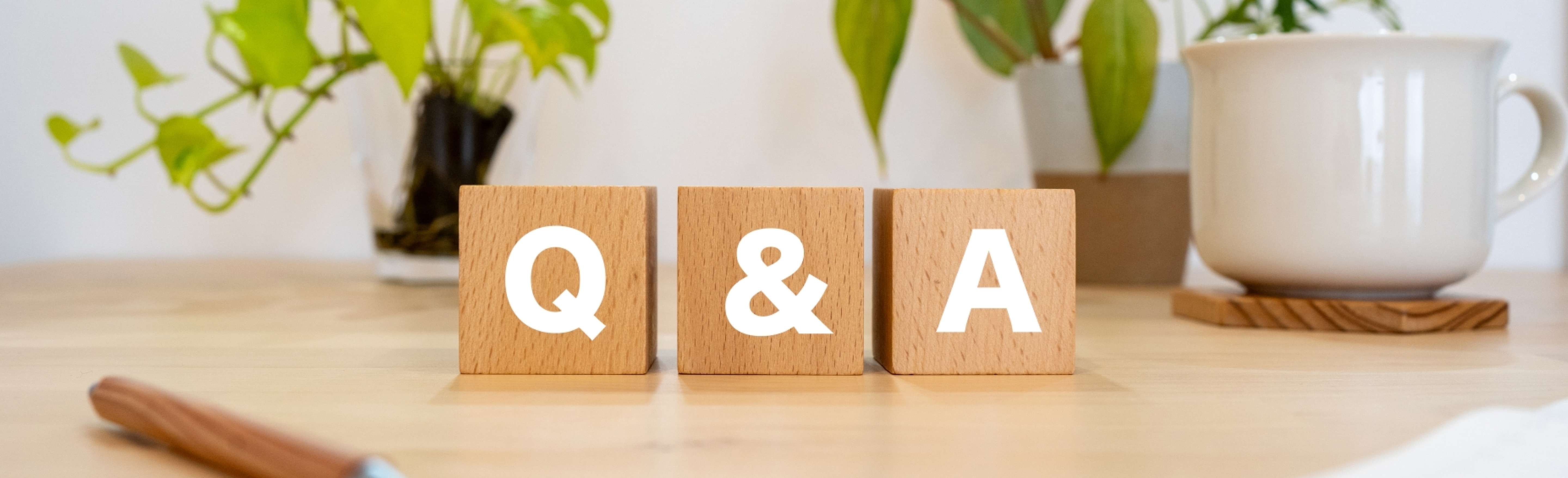 ファーストビュー画像